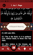 The Holy Quran and its Meaning Captura de pantalla 3