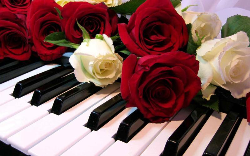 Roses Jigsaw Puzzles应用截图第0张