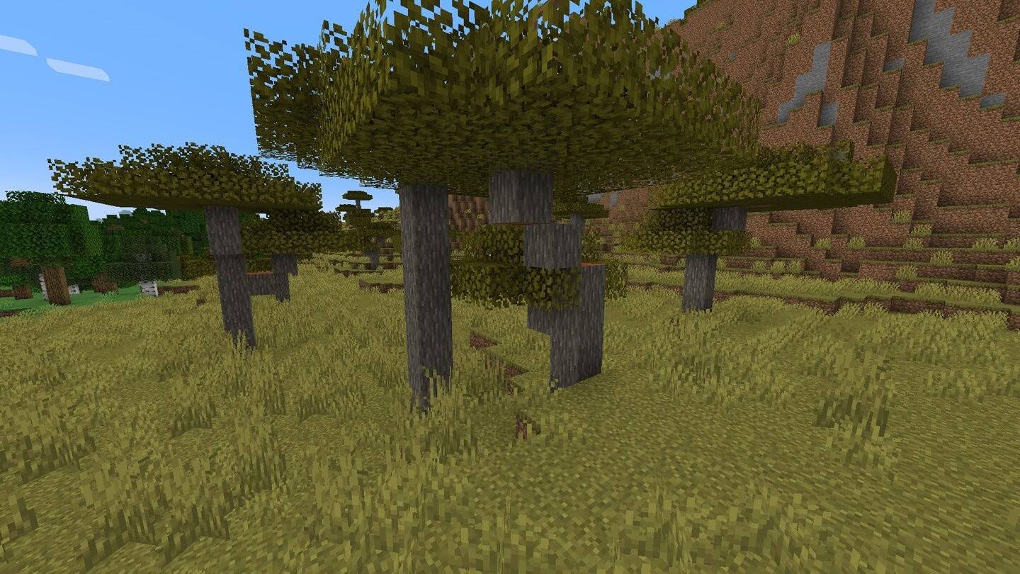 Acacia Wood in Minecraft