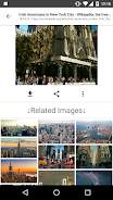 ImageSearchMan - Image Search Скриншот 2