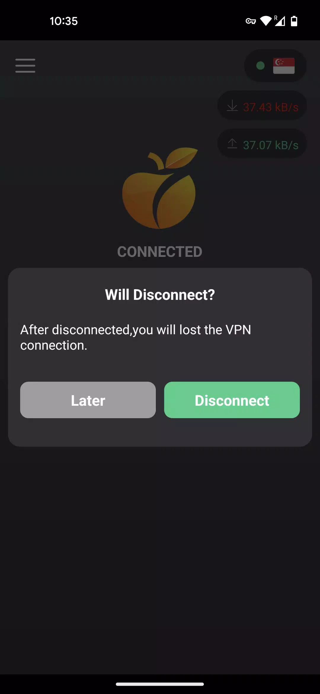OraVPN Скриншот 3