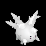 Balario corsola