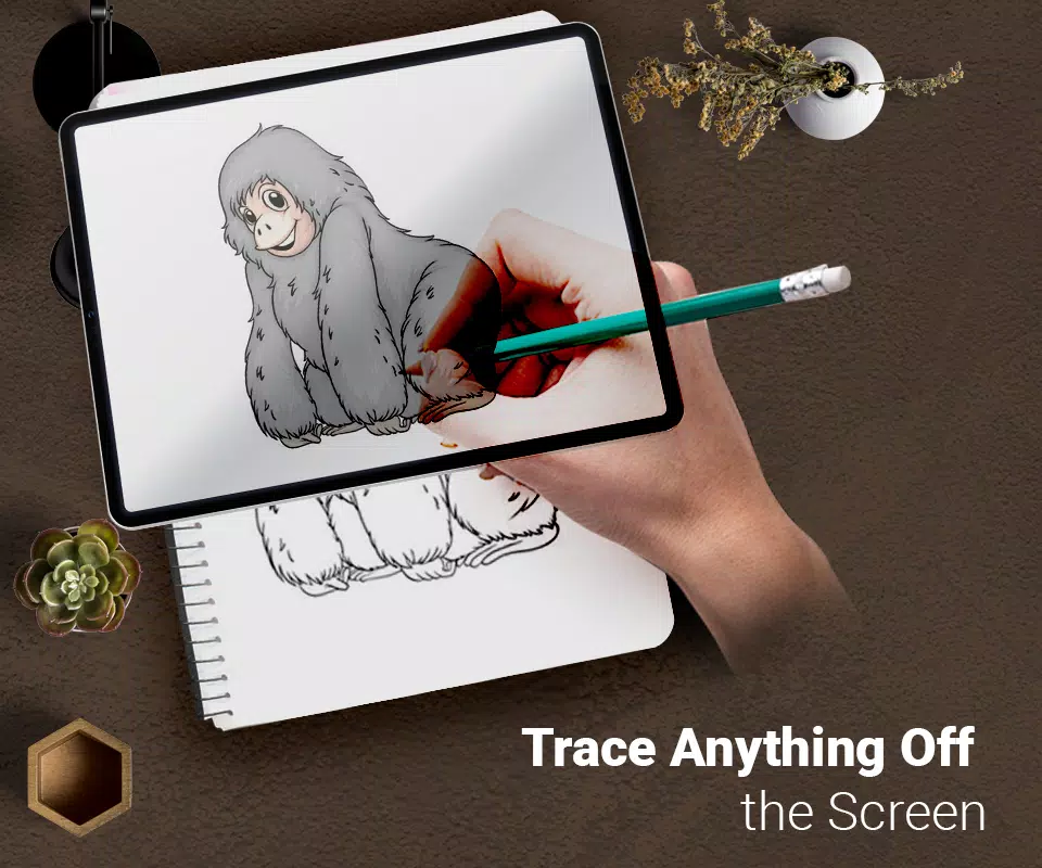 Draw : Trace & Sketch应用截图第0张