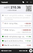 Testnet Wallet應用截圖第0張