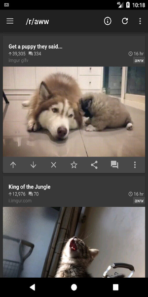 Rif é divertido para o Reddit