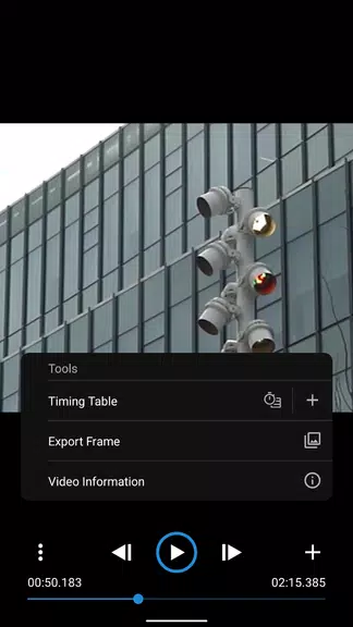 Frameskip - Video Timing Tool Скриншот 1