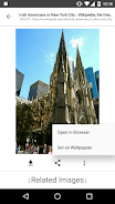 ImageSearchMan - Image Search Скриншот 0