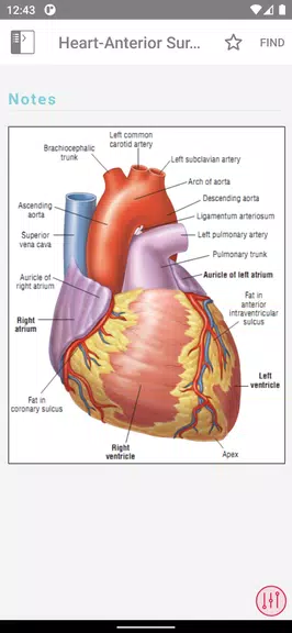ECG Notes: Quick look-up ref. स्क्रीनशॉट 2