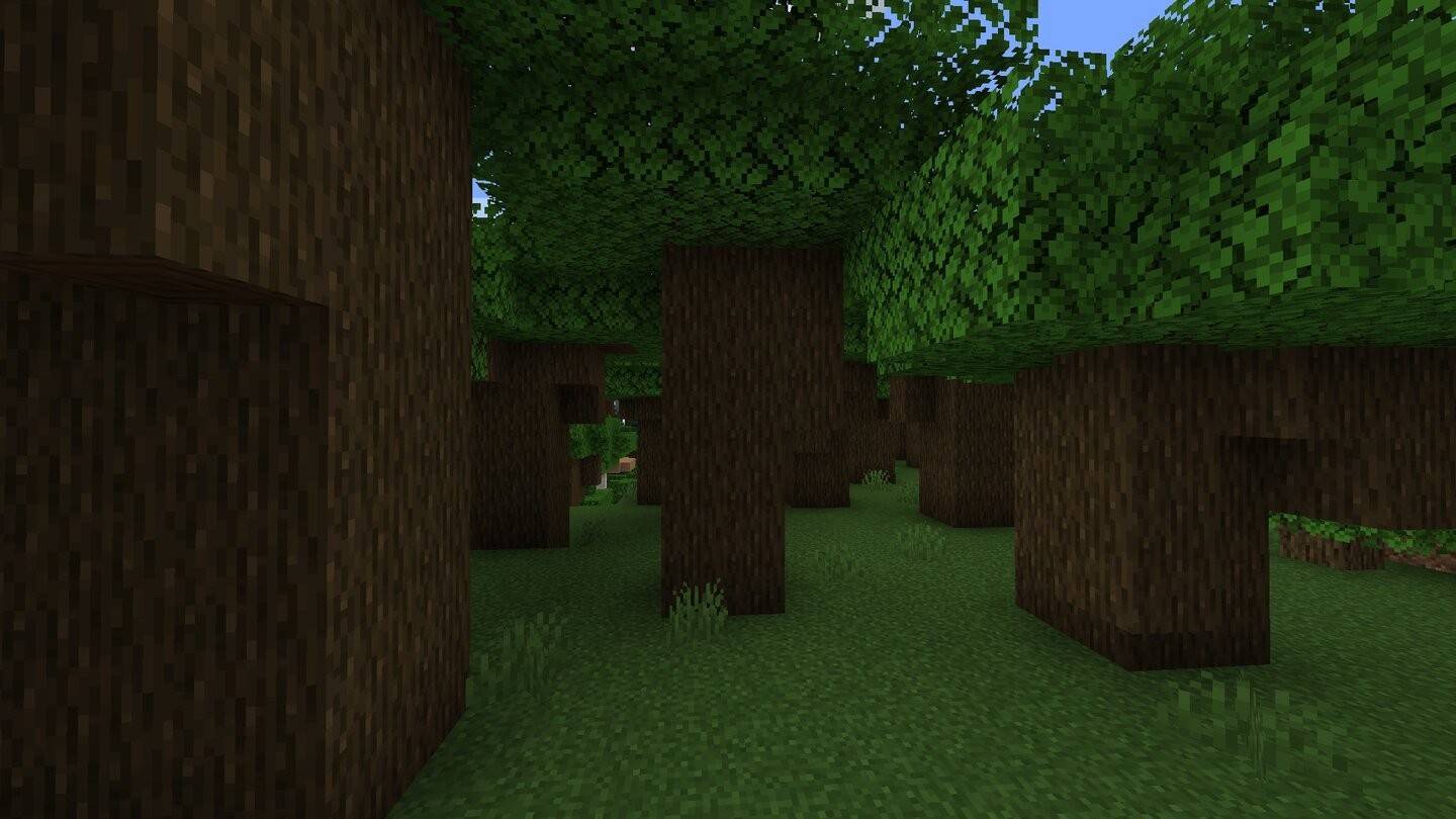 Dark Oak Wood in Minecraft
