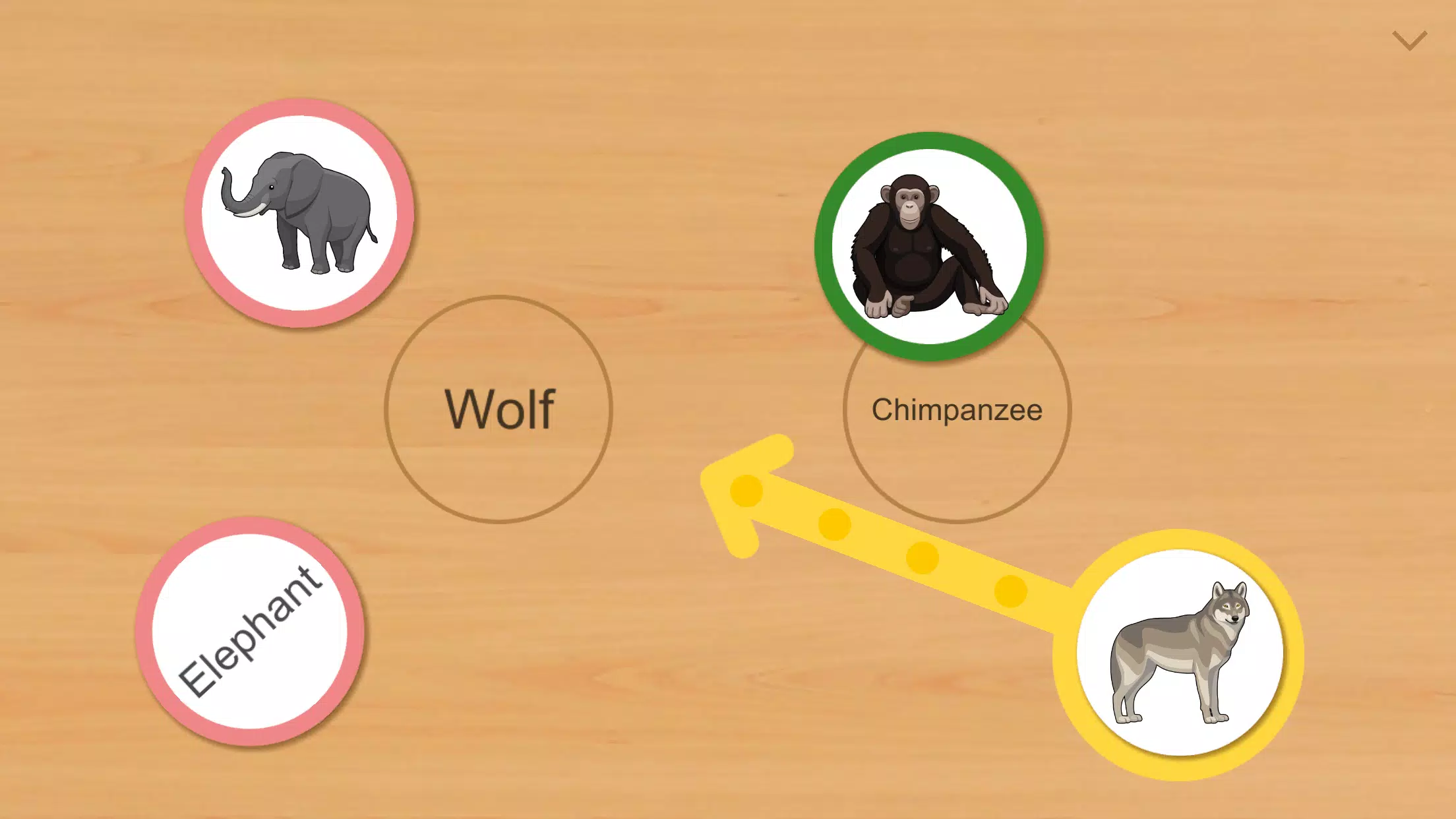 Animal Card Matching Captura de tela 1