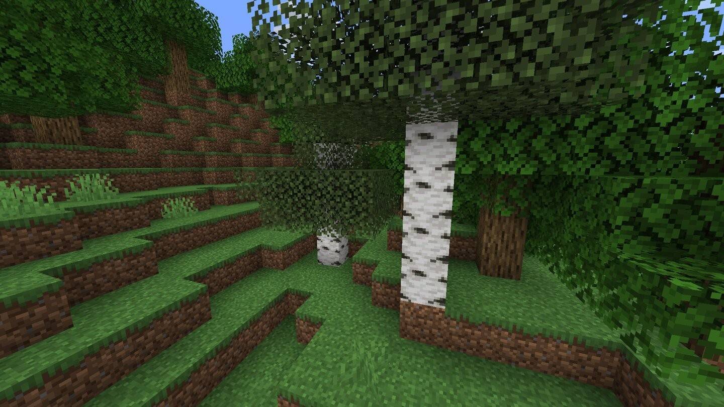 Birch Wood in Minecraft