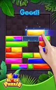 Block Puzzle-Jewel Blast應用截圖第2張