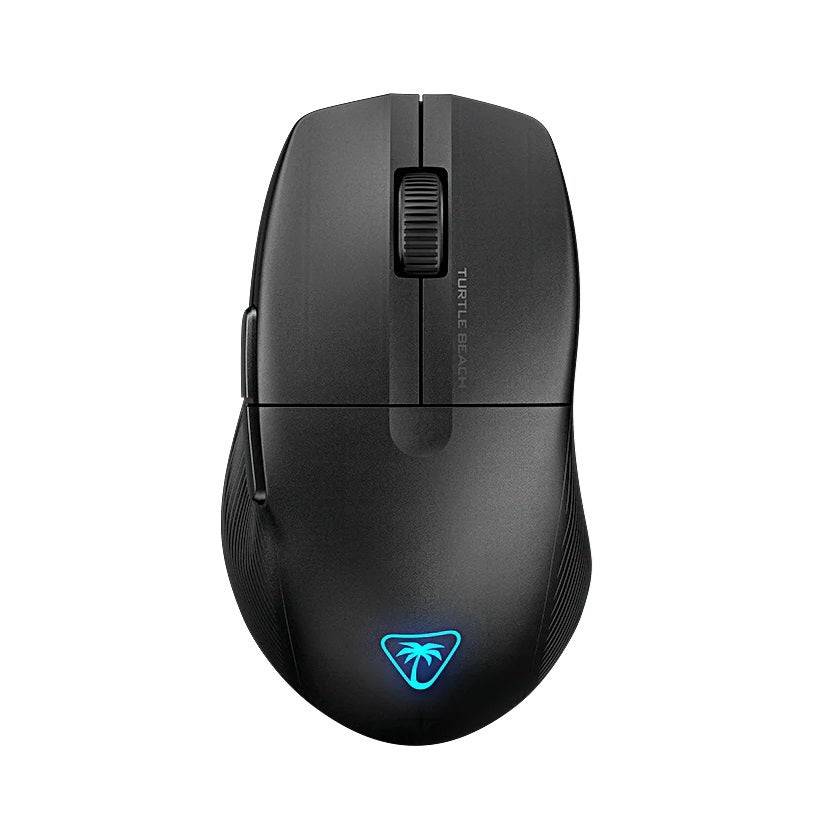 Черепаще пляж чистый воздух