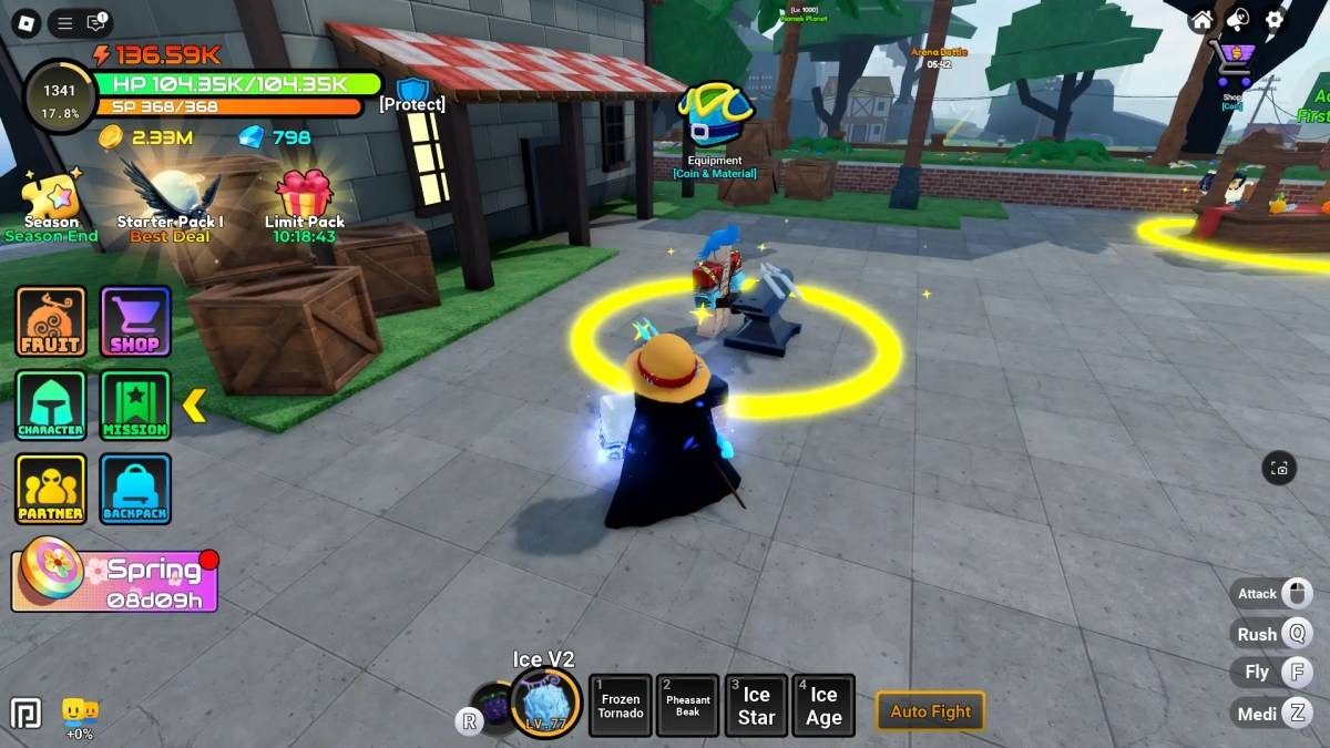 展示设备NPC在动漫水果中的位置的玩家