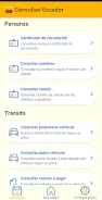 Consultas Ecuador Скриншот 1