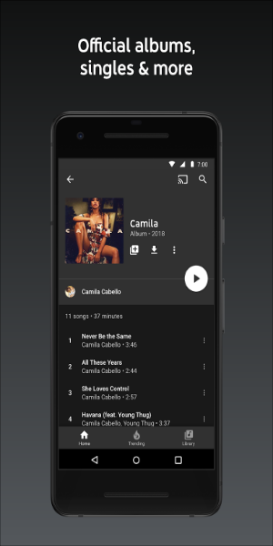 YouTube Music Screenshot 0
