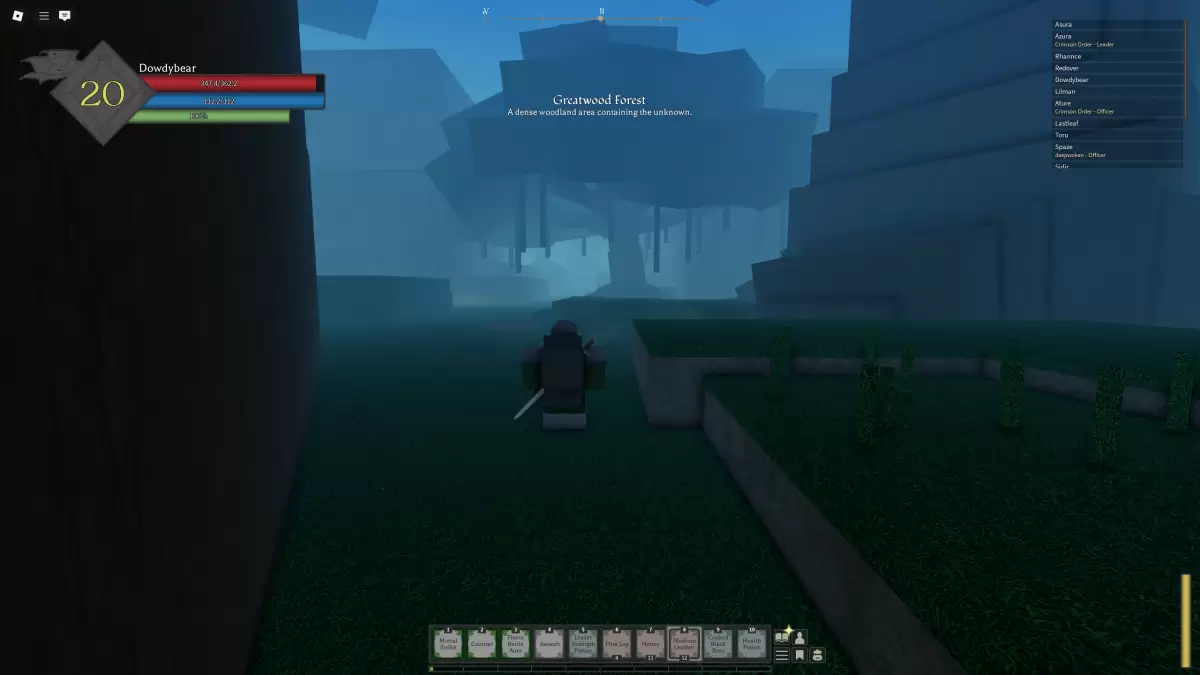 Ein Rune-Slayer-Spieler geht durch einen Wald nach Norden