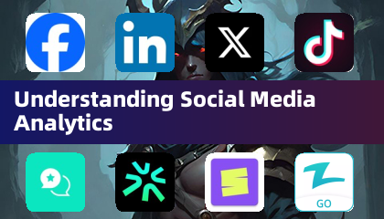 Understanding Social Media Analytics